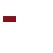 Iron Rebel logo